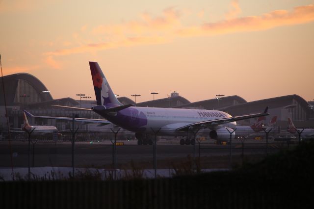 Airbus A330-200 (N393HA)