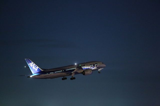 Boeing 787-8 (JA821A) - 19 August 2015:HKD-HND.