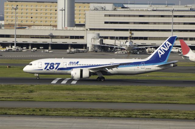 Boeing 787-8 (JA804A) - Landing at Haneda Intl Airport Rwy34L on 2012/05/18