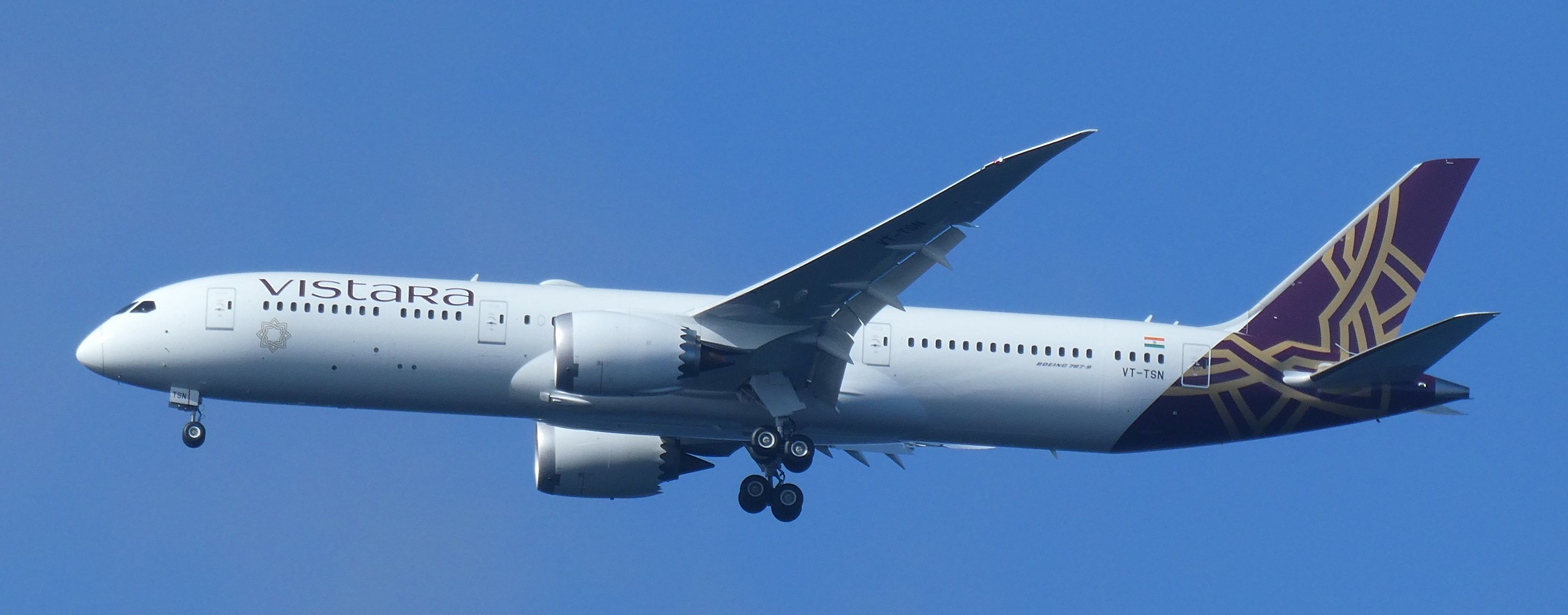 Boeing 787-8 (VT-TSN)