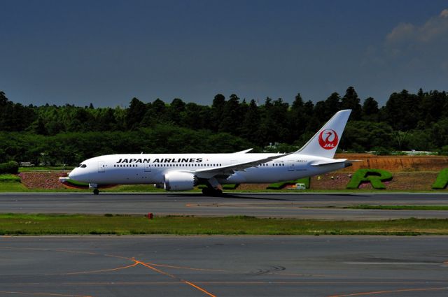 Boeing 787-8 (JA821J) - 2013