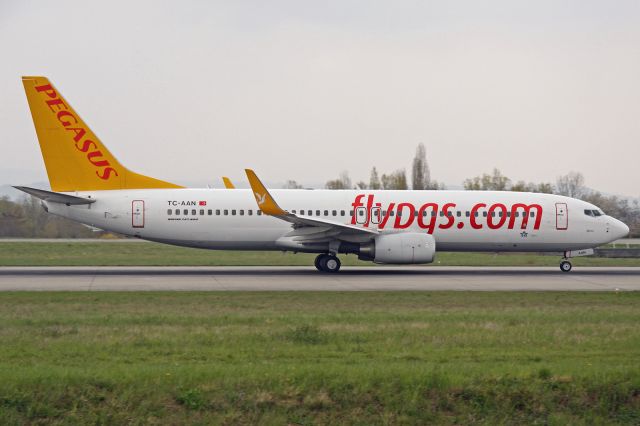 Boeing 737-800 (TC-AAN)