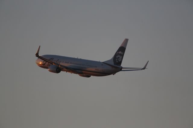 Boeing 737-900 (N419AS)