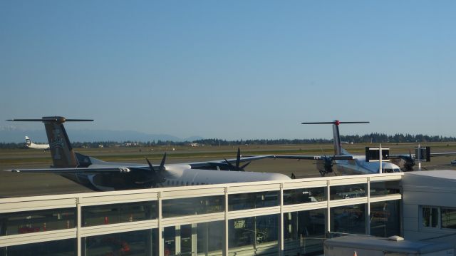 de Havilland Dash 8-400 (N400QX) - Del to QXE in 2001