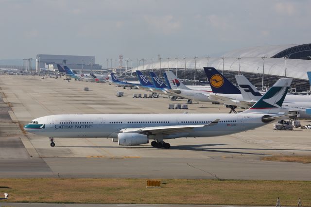 Airbus A330-300 (B-HLW)