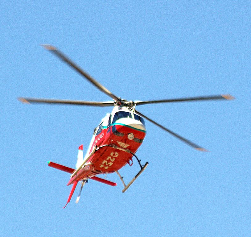 DENEL Koala (N306LG)