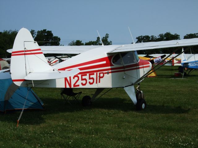 Piper PA-22 Tri-Pacer (N2551P)