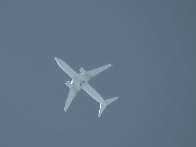 Boeing 737-800 (N984NN)