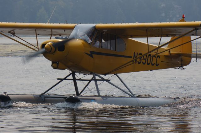 Piper L-21 Super Cub (N390CC)