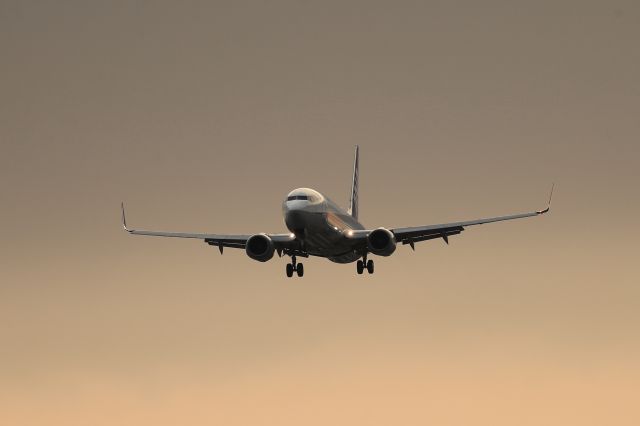 Boeing 737-800 (JA60AN) - July 23rd 2019:HGO-HKD. ANA(NH) 499