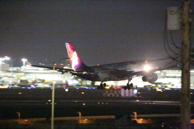 Airbus A330-200 (N386HA)