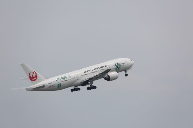 Boeing 777-200 (JA8984)