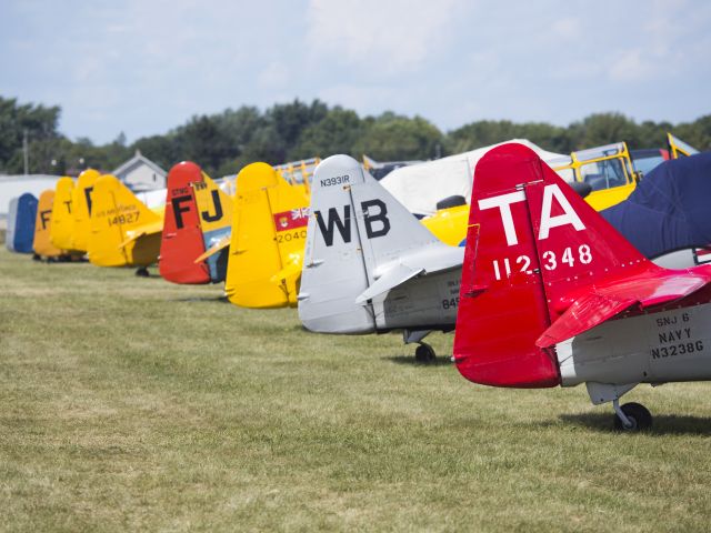 North American T-6 Texan (N3238G) - A bunch of T6 and variants. Oshkosh 2013!