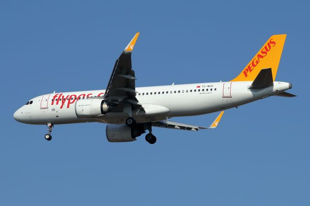 Airbus A320 (TC-NCG) - 17/01/2023:  Flight from Istanbul (SAW) on final to runway 26.