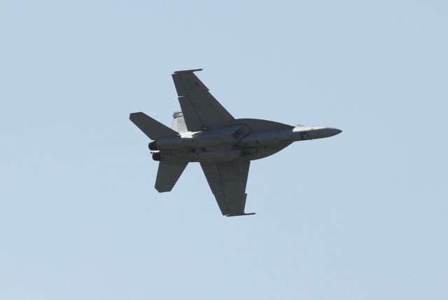 McDonnell Douglas FA-18 Hornet —