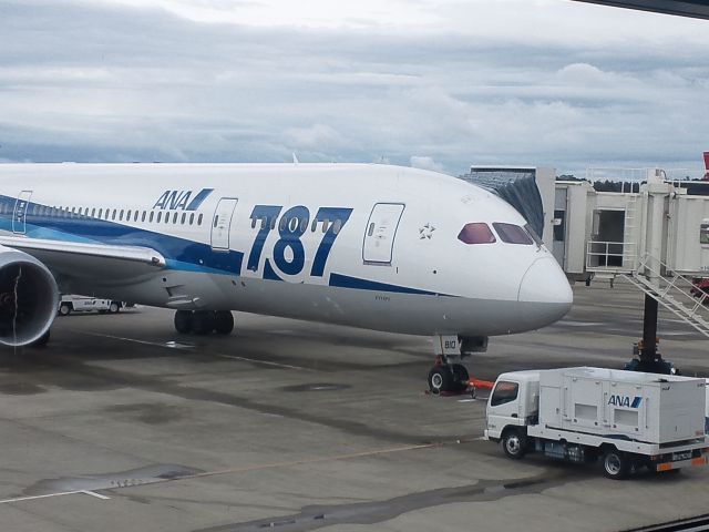 BOEING 767-300 (JA810A)