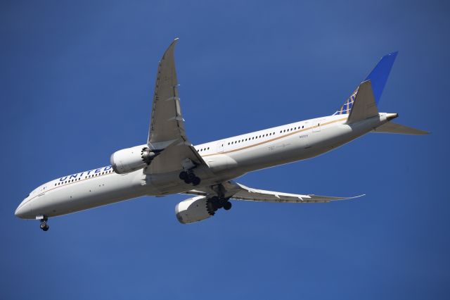 BOEING 787-10 Dreamliner (N16009)