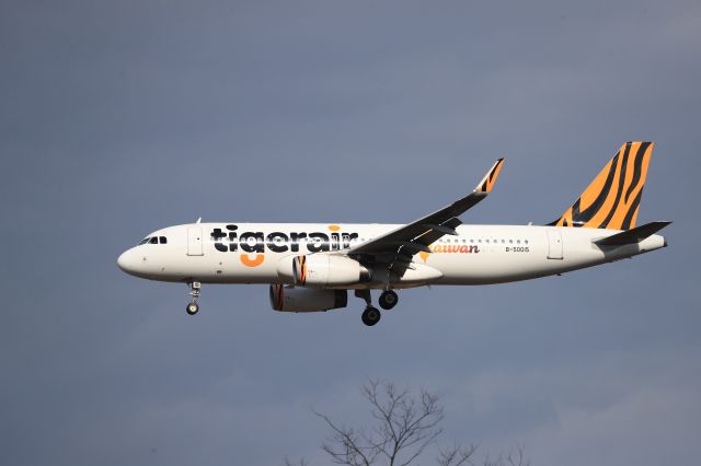 Airbus A320 (B-50015) - November 11th 2018:TPE-HKD.