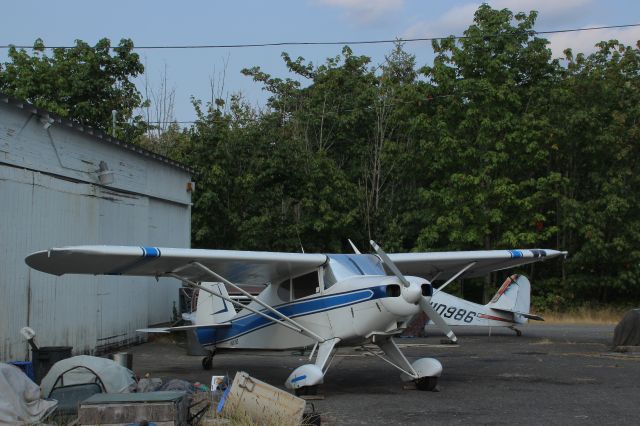 Piper PA-22 Tri-Pacer (N5839Z) - Pretty little Pa-22 nestled among the dismantled and broken airplanes.