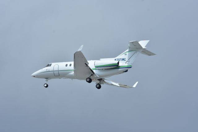 Hawker 800 (N301ML)