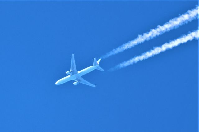 Airbus A330-300 (D-ACVG) - D-ACVG AIRBUS 330-343 DHL-AIR UK. survolant la ville de Lavaltrie QC. le 04-09-2022 à 15:26