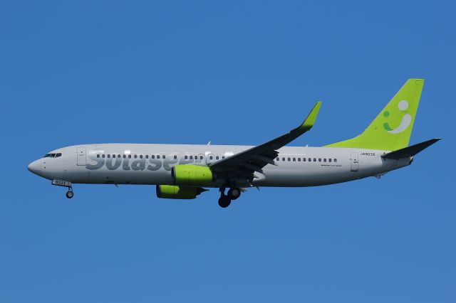 Boeing 737-800 (JA803X)