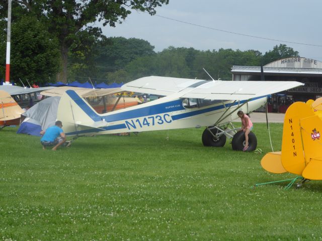 Piper L-21 Super Cub (N1473C)