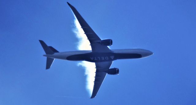 Airbus A330-900 (N408DX) - DAL 197  SEA-ICN  8-27-2021