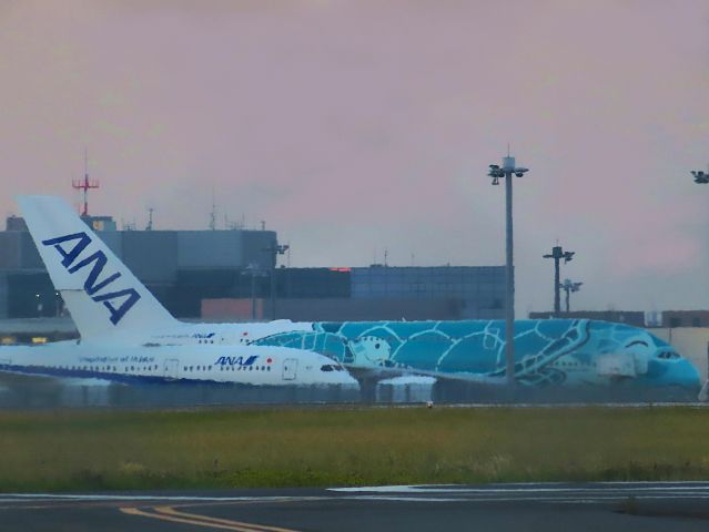 Airbus A380-800 (JA382A) - I took this picture on May 24, 2019.br /Unit 2 of ANA A381