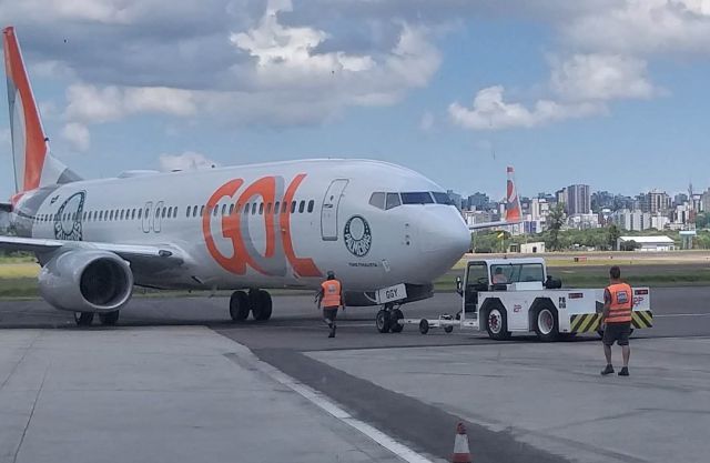 Boeing 737-700 (PR-GGY) - Boeing 737 da Gol com a pintura do Palmeiras.