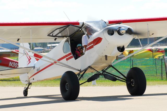 Piper L-21 Super Cub (N85LS) - SuperCub