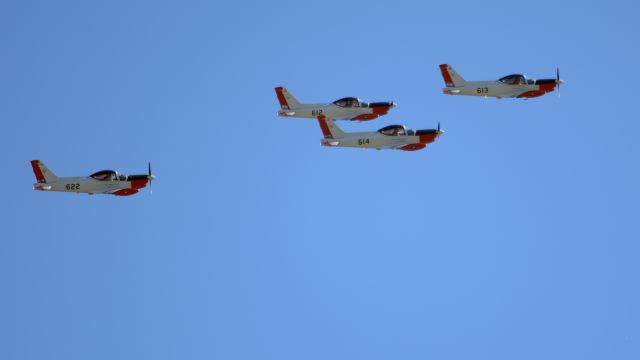 FAU612 — - Training flight of the Military School of Aeronautics - Uruguayan Air Force. - The aircraft are Aermacchi T-260; but it was not possible to enter the complete model, only the turboprop version appears; These planes are piston powered.