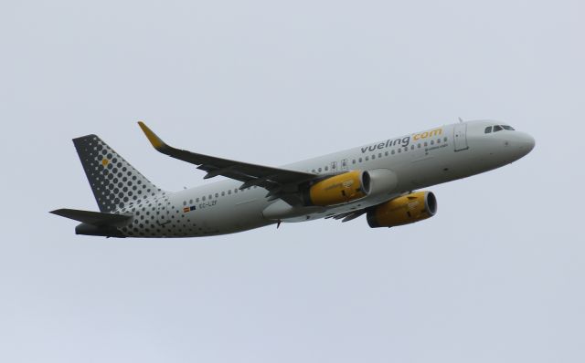 Airbus A320 (EC-LZF)