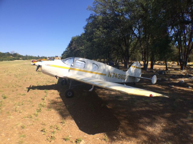 BELLANCA Viking (N74360) - Bellanca a Champion fly-in 2014