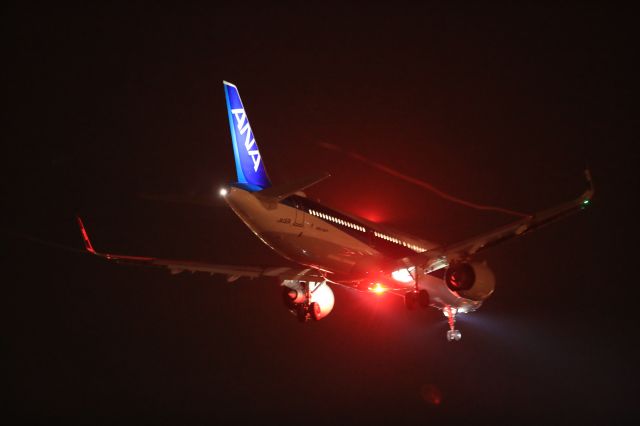 Airbus A321 (JA132A) - October 3rd 2019:HND-HKD.