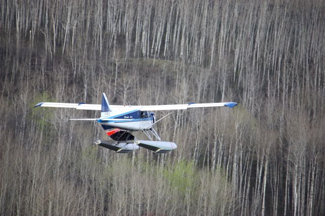 De Havilland Canada DHC-2 Mk1 Beaver —