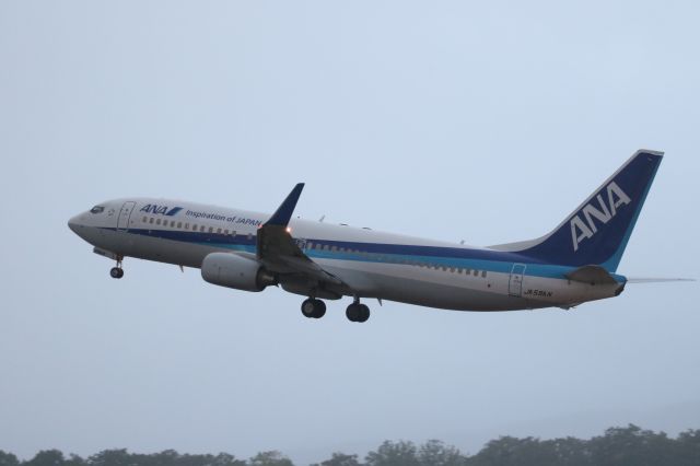 Boeing 737-800 (JA59AN) - 2 September 2015:HKD-KIX.