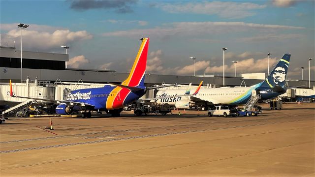 Boeing 737-700 (N7728D) - Loading for WN1955 to ORD, next to N433AS loading for AS508 to SEA