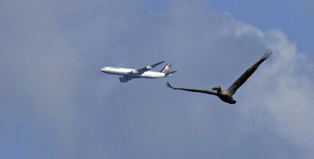 Airbus A340-300 —