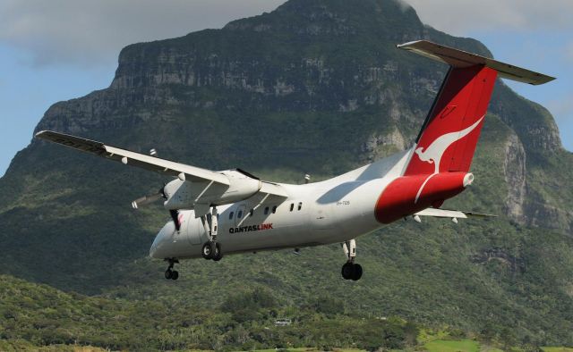 de Havilland Dash 8-200 (VH-TQS) - QantasLink Dash 8-200 VH-TQS on final runway 10 at Lord Howe Island