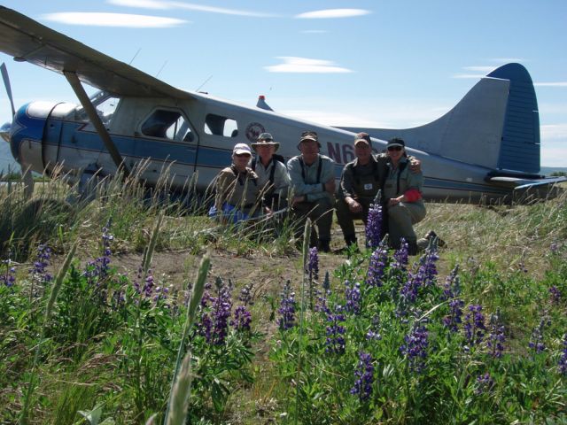 N67688 — - Landing in the wild flowers