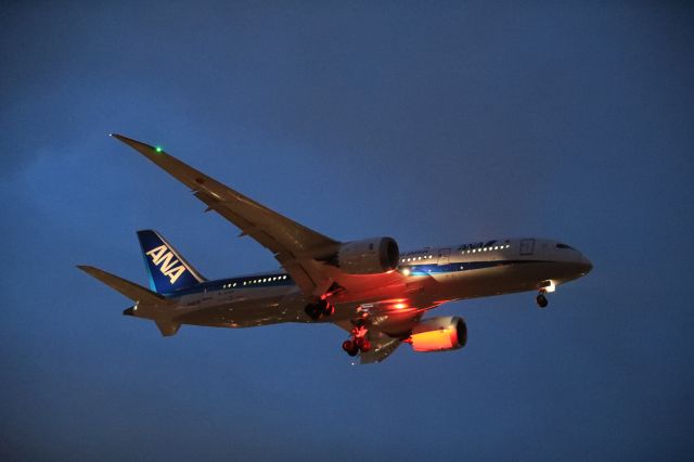 Boeing 787-8 (JA807A) - April 30, 2024:HND-HKD.