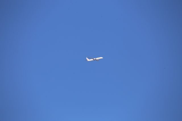 Boeing 787-9 Dreamliner (JA879J)
