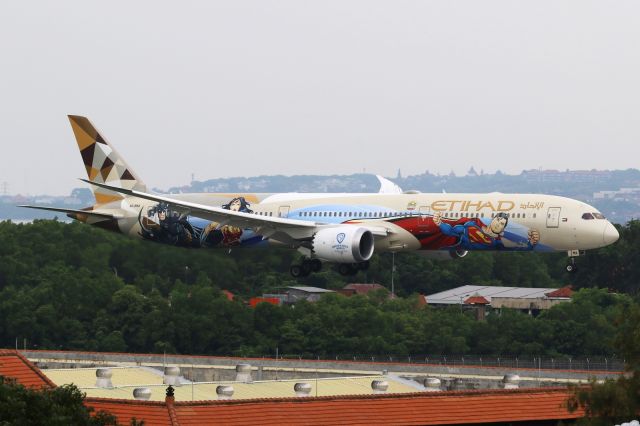 BOEING 787-10 Dreamliner (A6-BMA) - "Warner Bros World" livery