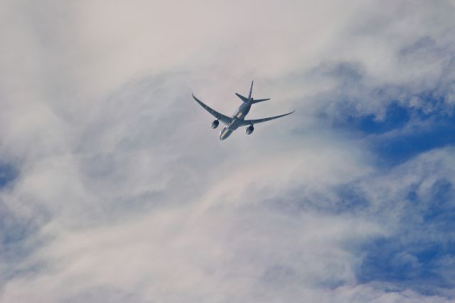 Boeing 787-8 (JA816A)