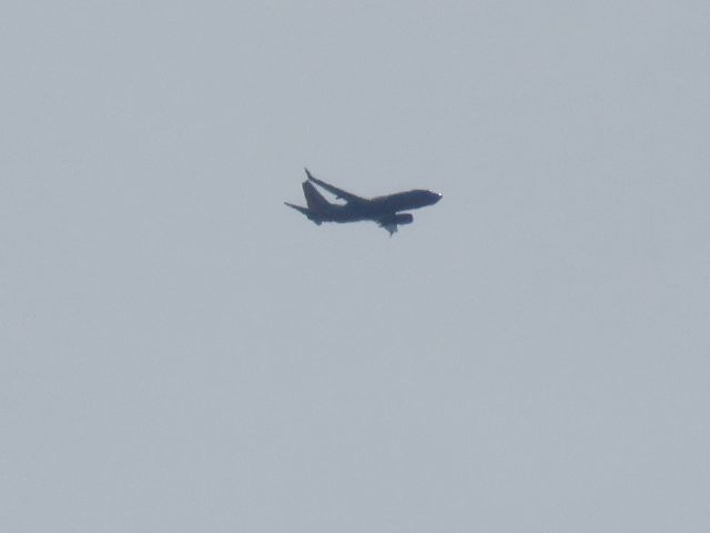 Boeing 737-700 (N272WN)