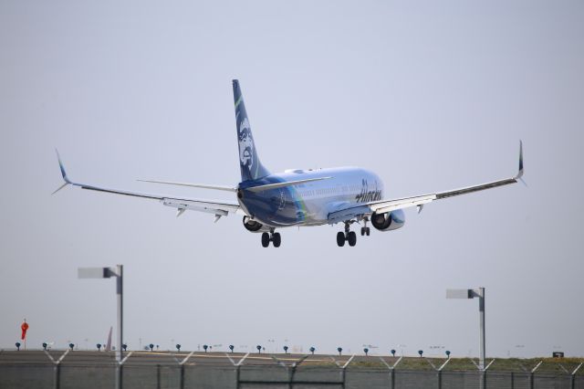 Boeing 737-900 (N481AS)