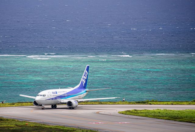 Boeing 737-500 (JA8595)