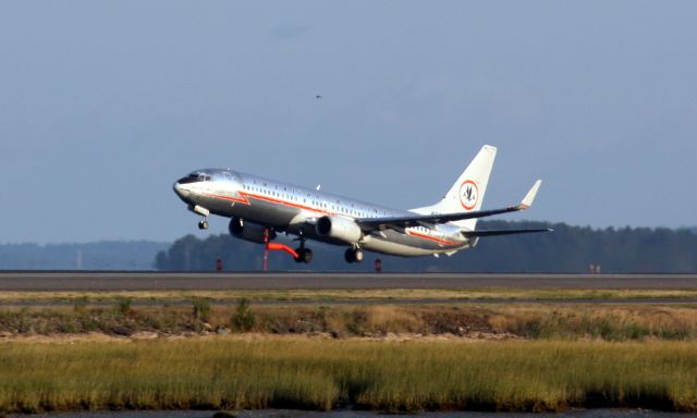 Boeing 737-800 (N951AA)