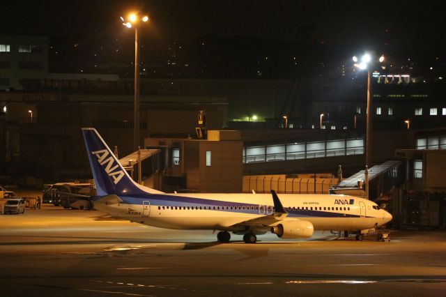 Boeing 737-800 (JA53AN)